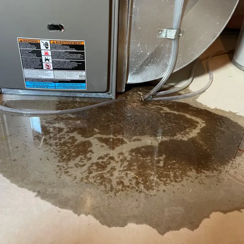 Appliance Leak Cleanup in Bates County, MO