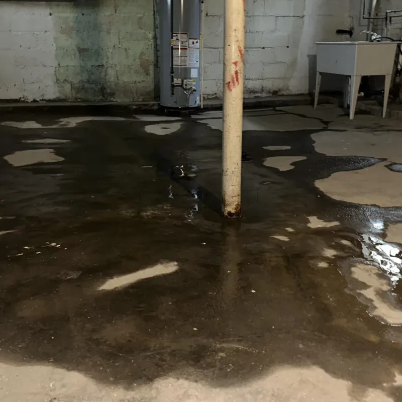Emergency Water Extraction And Removal in Bates County, MO